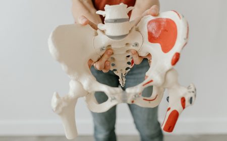 pelvic health physical therapist holding a model of a bony pelvis