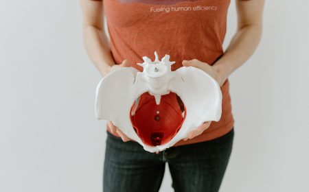 pelvic health physical therapist holding a model of a pelvis